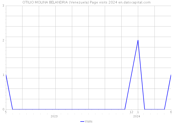 OTILIO MOLINA BELANDRIA (Venezuela) Page visits 2024 