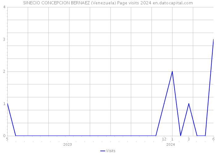 SINECIO CONCEPCION BERNAEZ (Venezuela) Page visits 2024 