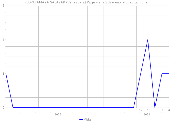 PEDRO AMAYA SALAZAR (Venezuela) Page visits 2024 