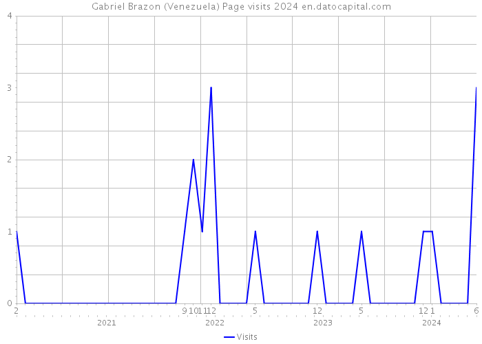 Gabriel Brazon (Venezuela) Page visits 2024 