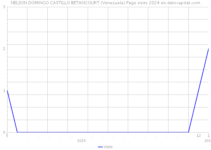 NELSON DOMINGO CASTILLO BETANCOURT (Venezuela) Page visits 2024 