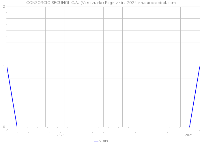 CONSORCIO SEGUHOL C.A. (Venezuela) Page visits 2024 