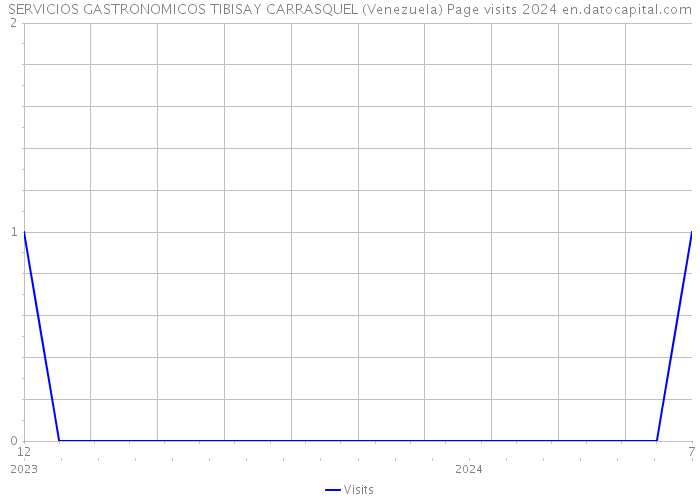 SERVICIOS GASTRONOMICOS TIBISAY CARRASQUEL (Venezuela) Page visits 2024 