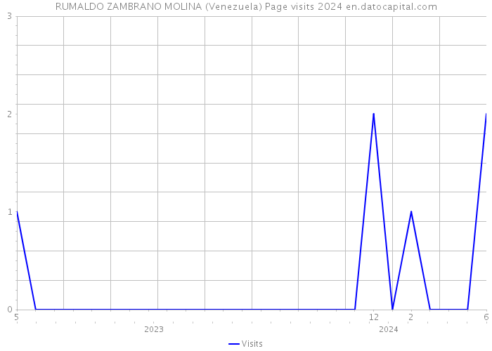 RUMALDO ZAMBRANO MOLINA (Venezuela) Page visits 2024 