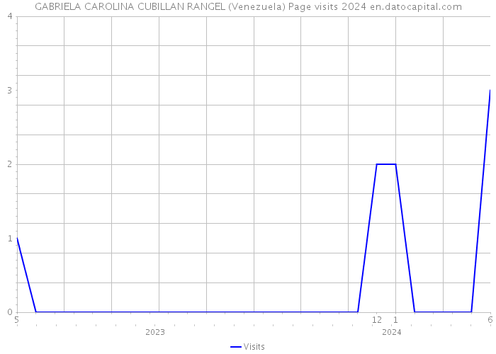 GABRIELA CAROLINA CUBILLAN RANGEL (Venezuela) Page visits 2024 