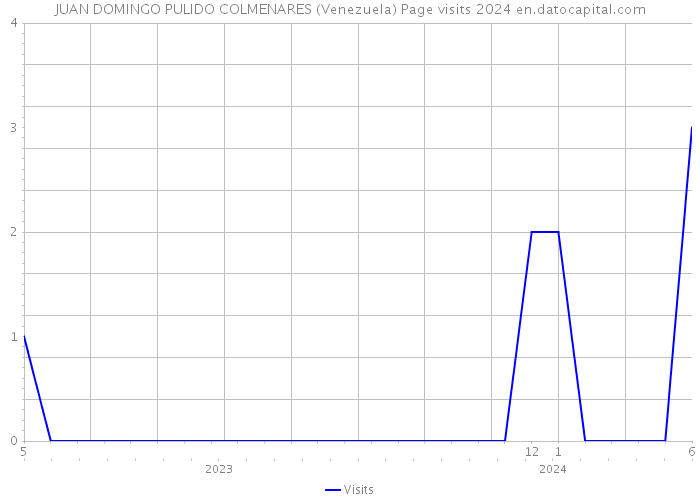 JUAN DOMINGO PULIDO COLMENARES (Venezuela) Page visits 2024 