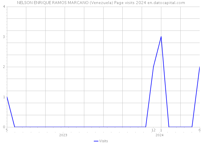 NELSON ENRIQUE RAMOS MARCANO (Venezuela) Page visits 2024 