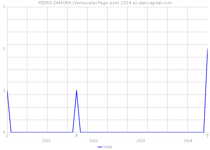PEDRO ZAMORA (Venezuela) Page visits 2024 