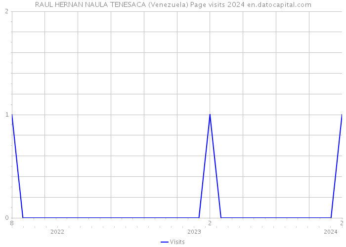 RAUL HERNAN NAULA TENESACA (Venezuela) Page visits 2024 