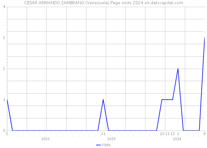 CESAR ARMANDO ZAMBRANO (Venezuela) Page visits 2024 