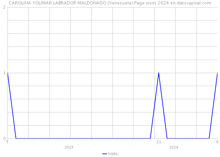 CAROLINA YOLIMAR LABRADOR MALDONADO (Venezuela) Page visits 2024 