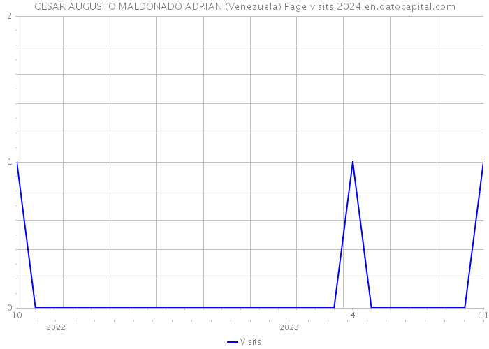 CESAR AUGUSTO MALDONADO ADRIAN (Venezuela) Page visits 2024 