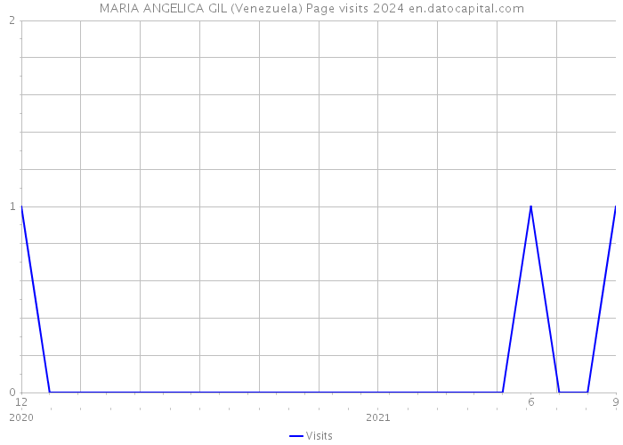 MARIA ANGELICA GIL (Venezuela) Page visits 2024 