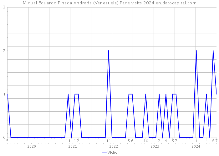 Miguel Eduardo Pineda Andrade (Venezuela) Page visits 2024 