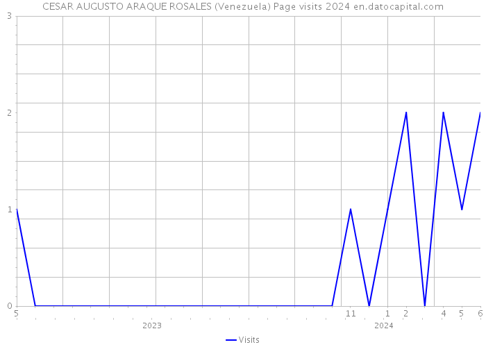 CESAR AUGUSTO ARAQUE ROSALES (Venezuela) Page visits 2024 