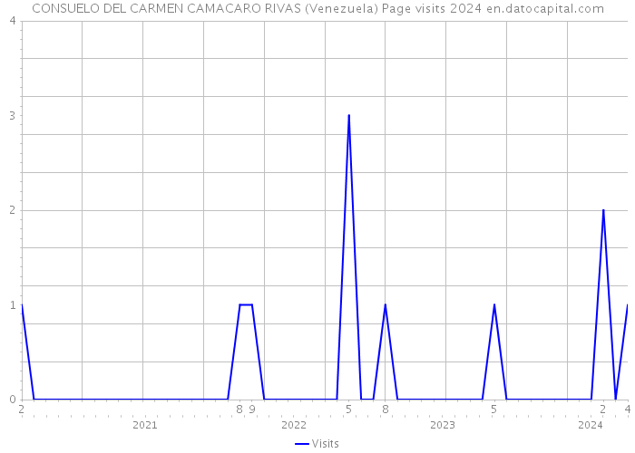 CONSUELO DEL CARMEN CAMACARO RIVAS (Venezuela) Page visits 2024 
