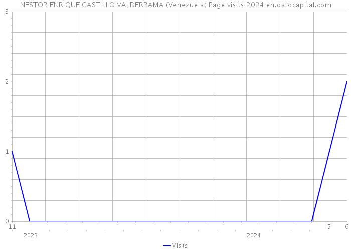 NESTOR ENRIQUE CASTILLO VALDERRAMA (Venezuela) Page visits 2024 