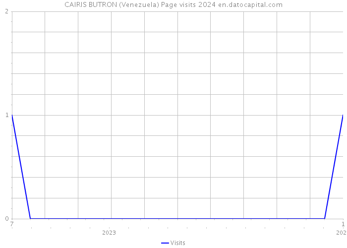 CAIRIS BUTRON (Venezuela) Page visits 2024 