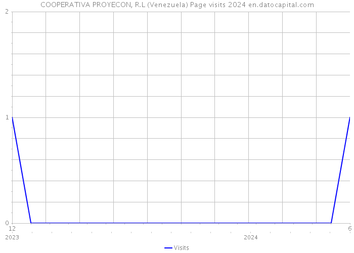 COOPERATIVA PROYECON, R.L (Venezuela) Page visits 2024 