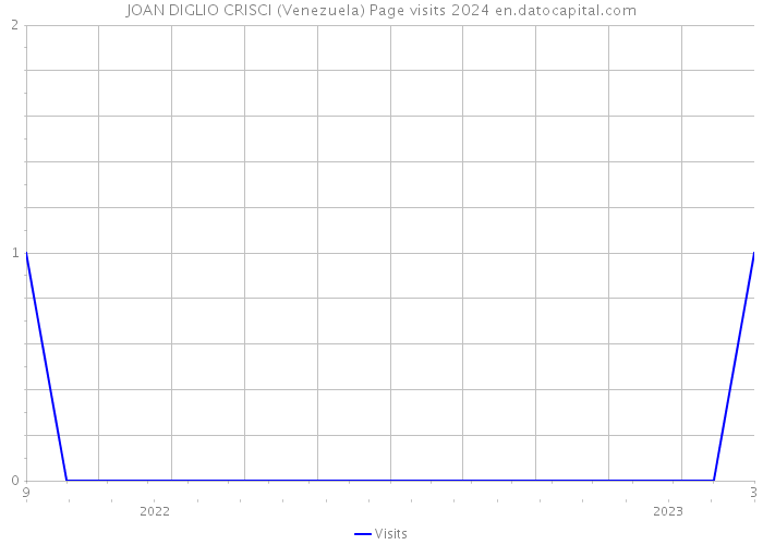JOAN DIGLIO CRISCI (Venezuela) Page visits 2024 
