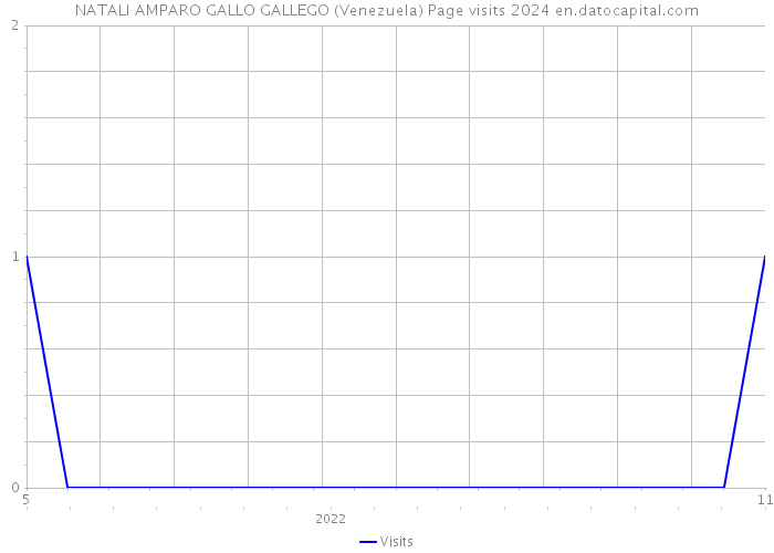 NATALI AMPARO GALLO GALLEGO (Venezuela) Page visits 2024 