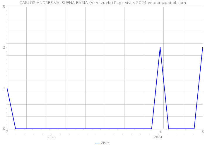CARLOS ANDRES VALBUENA FARIA (Venezuela) Page visits 2024 