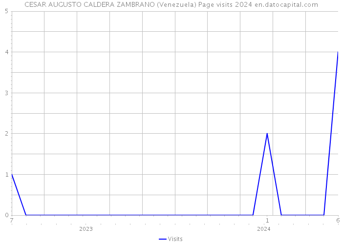 CESAR AUGUSTO CALDERA ZAMBRANO (Venezuela) Page visits 2024 