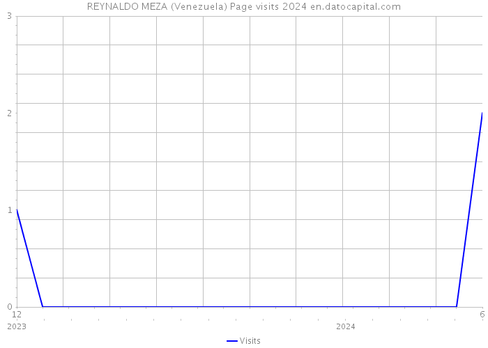 REYNALDO MEZA (Venezuela) Page visits 2024 