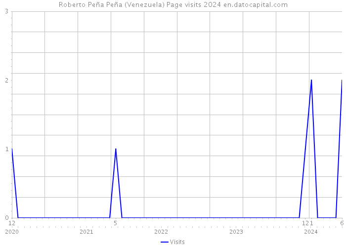 Roberto Peña Peña (Venezuela) Page visits 2024 