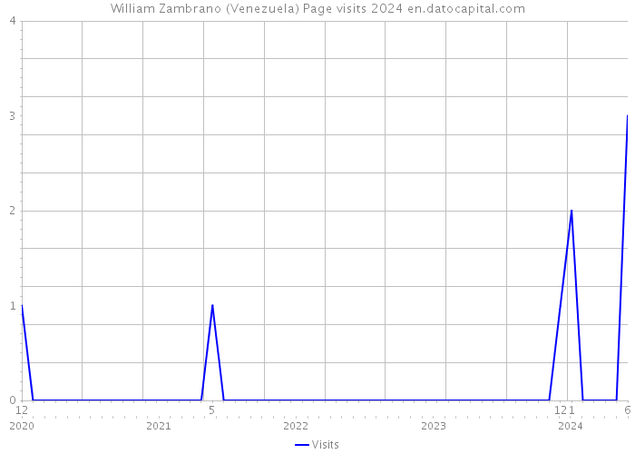 William Zambrano (Venezuela) Page visits 2024 