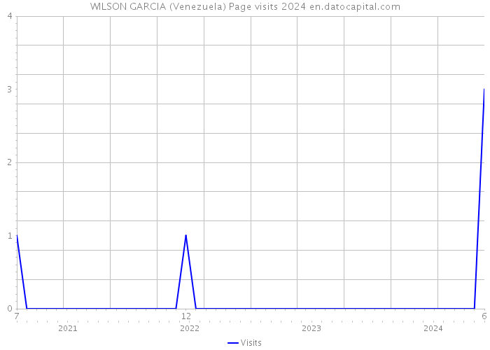 WILSON GARCIA (Venezuela) Page visits 2024 