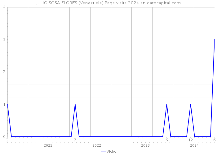 JULIO SOSA FLORES (Venezuela) Page visits 2024 