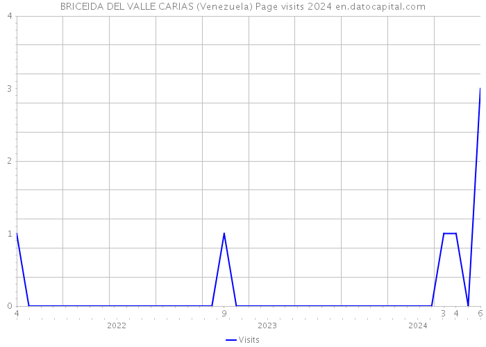 BRICEIDA DEL VALLE CARIAS (Venezuela) Page visits 2024 