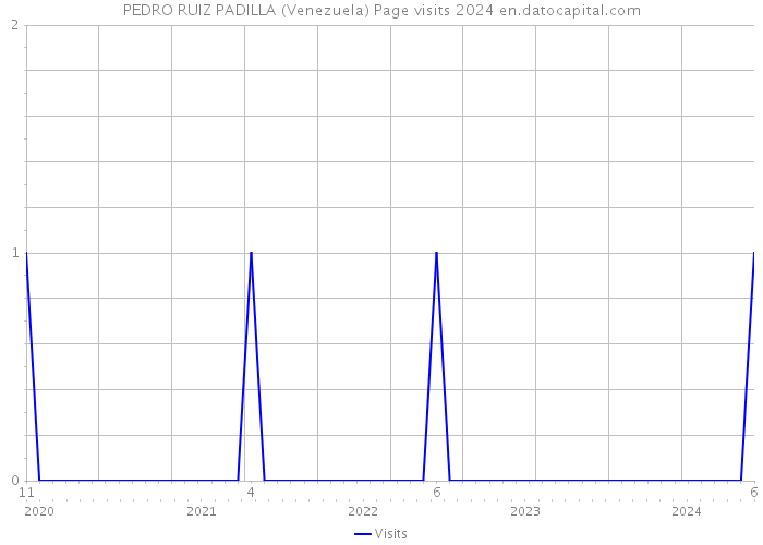 PEDRO RUIZ PADILLA (Venezuela) Page visits 2024 