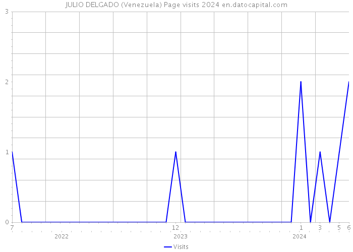 JULIO DELGADO (Venezuela) Page visits 2024 