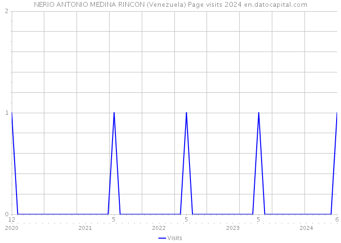 NERIO ANTONIO MEDINA RINCON (Venezuela) Page visits 2024 