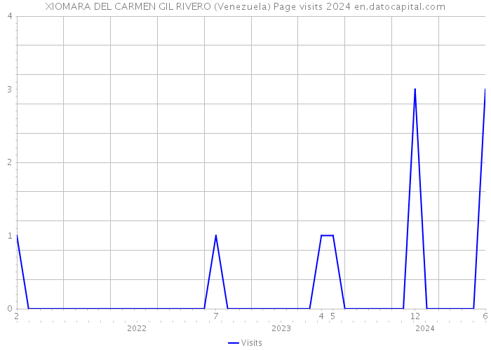 XIOMARA DEL CARMEN GIL RIVERO (Venezuela) Page visits 2024 
