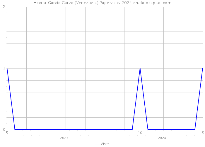 Hector García Garza (Venezuela) Page visits 2024 