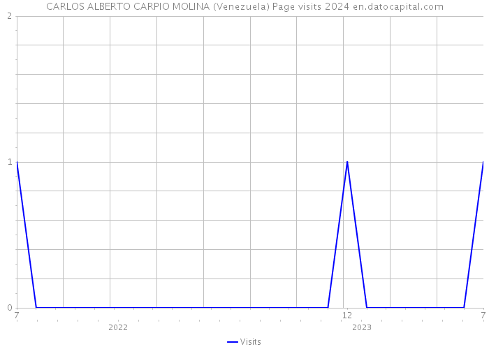 CARLOS ALBERTO CARPIO MOLINA (Venezuela) Page visits 2024 