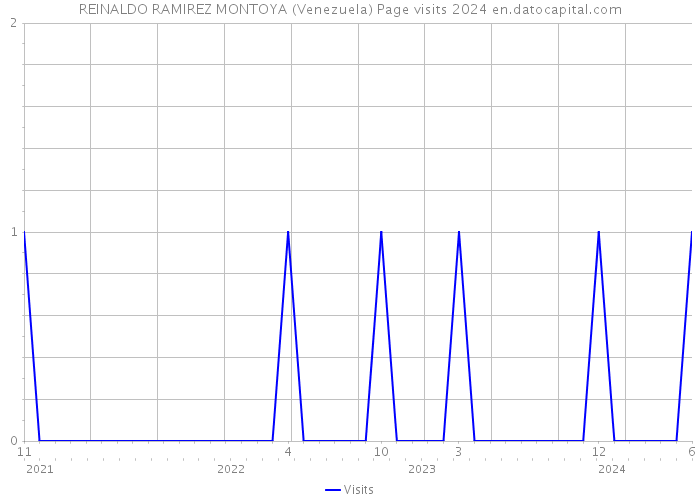 REINALDO RAMIREZ MONTOYA (Venezuela) Page visits 2024 