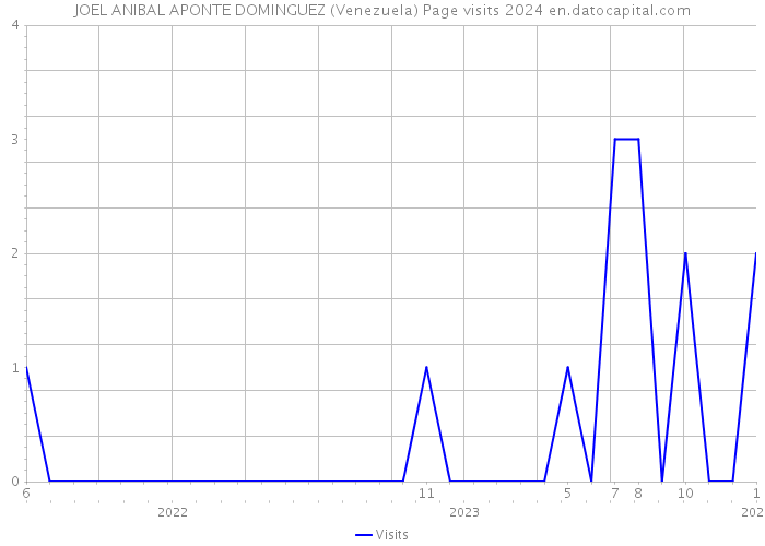 JOEL ANIBAL APONTE DOMINGUEZ (Venezuela) Page visits 2024 