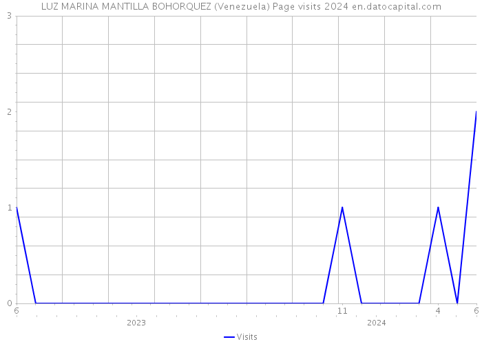 LUZ MARINA MANTILLA BOHORQUEZ (Venezuela) Page visits 2024 