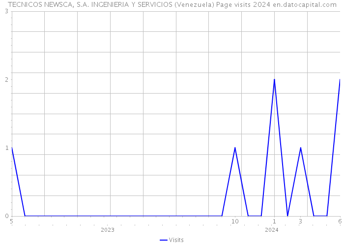 TECNICOS NEWSCA, S.A. INGENIERIA Y SERVICIOS (Venezuela) Page visits 2024 