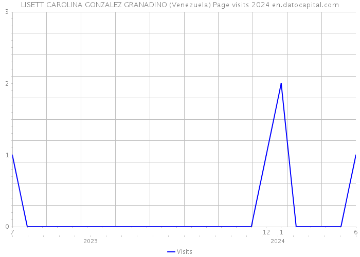 LISETT CAROLINA GONZALEZ GRANADINO (Venezuela) Page visits 2024 