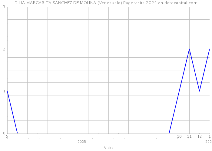 DILIA MARGARITA SANCHEZ DE MOLINA (Venezuela) Page visits 2024 