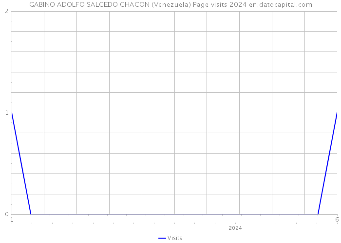 GABINO ADOLFO SALCEDO CHACON (Venezuela) Page visits 2024 