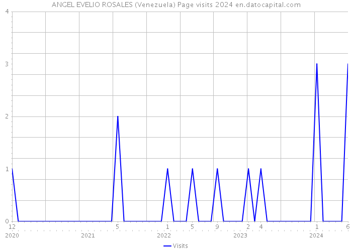 ANGEL EVELIO ROSALES (Venezuela) Page visits 2024 