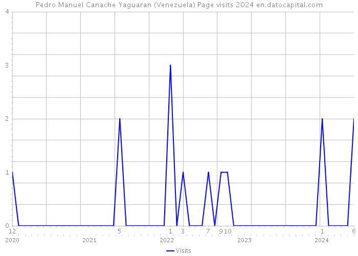 Pedro Manuel Canache Yaguaran (Venezuela) Page visits 2024 