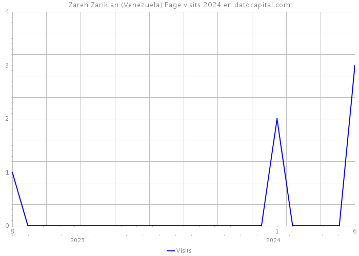 Zareh Zarikian (Venezuela) Page visits 2024 