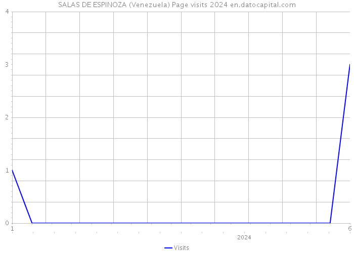SALAS DE ESPINOZA (Venezuela) Page visits 2024 